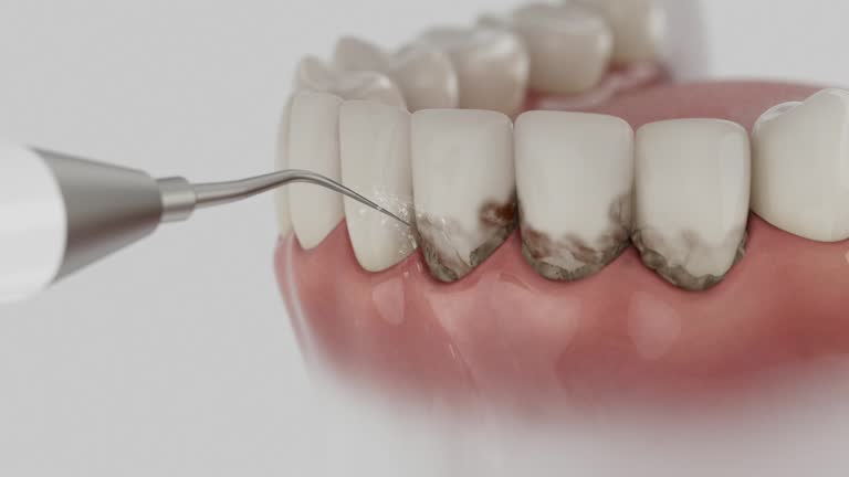Reliable Dental contractor in Santee, SC by Dentist Open Now